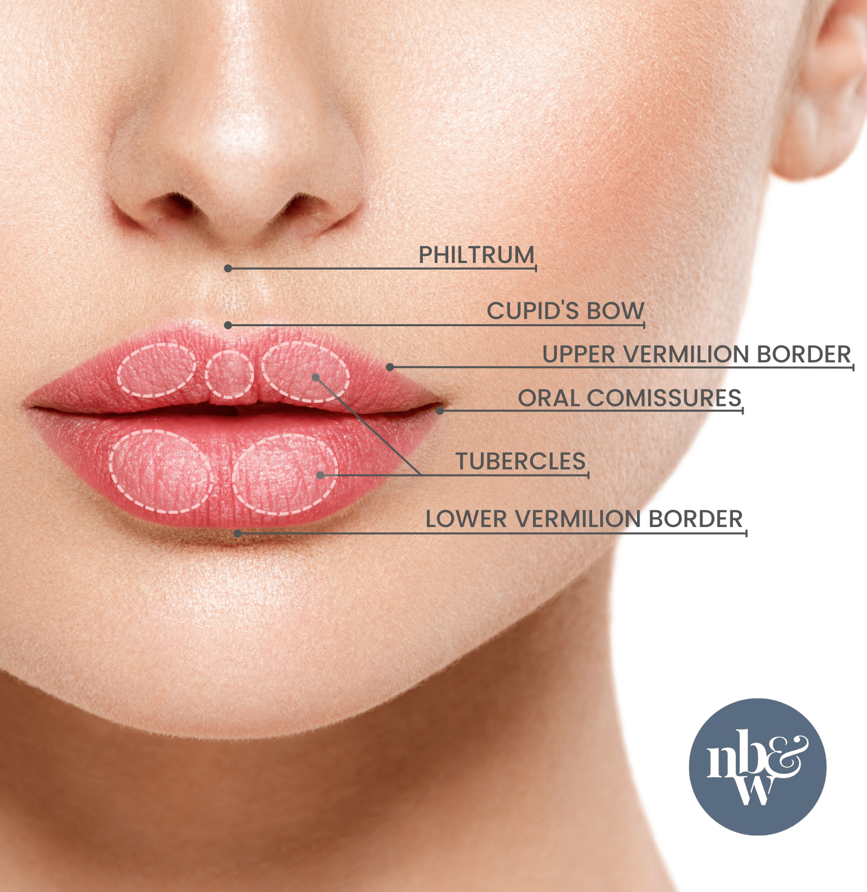How to Get the Lips You Want: Natural Lip Enhancement